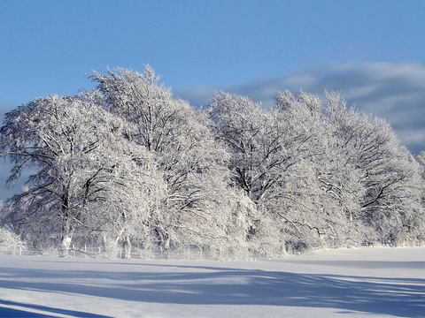 Snow in winter country landscape scenery