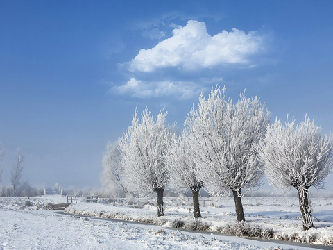 Snow in winter country landscape scenery