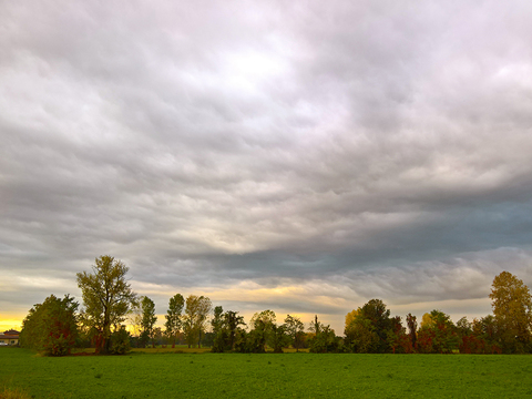 Natural Scenery Rural Landscape