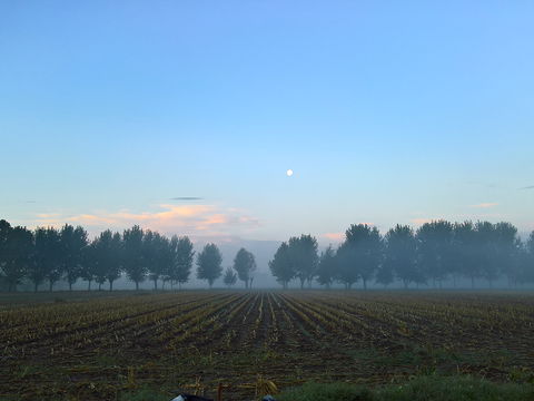 Natural Scenery Rural Landscape