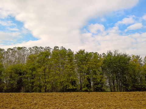 Natural Scenery Rural Landscape