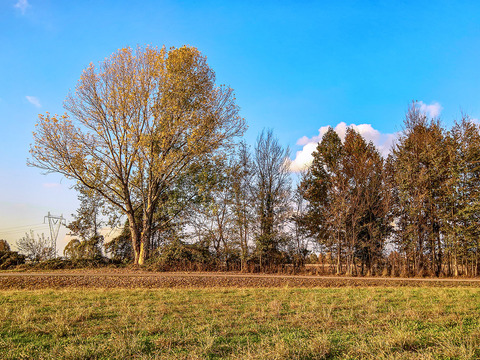 Natural Scenery Rural Landscape