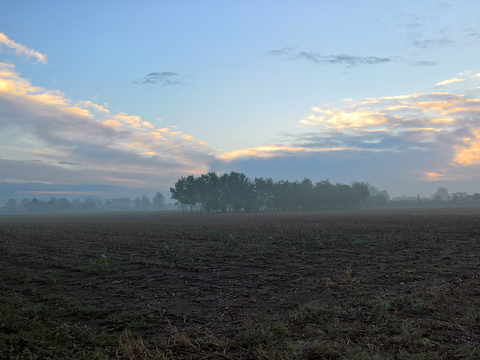 Natural Scenery Rural Landscape