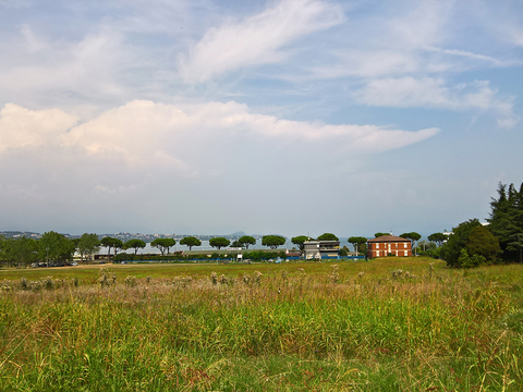 Natural Scenery Rural Landscape