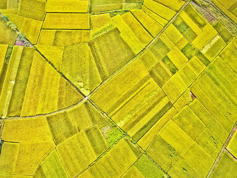 Satellite aerial photography beautiful countryside bird's eye view pastoral