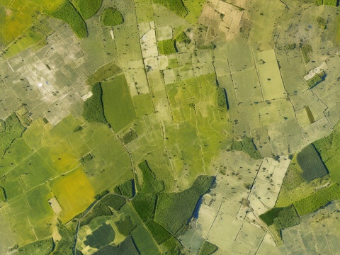 Seamless aerial photography overhead shooting grassland satellite map