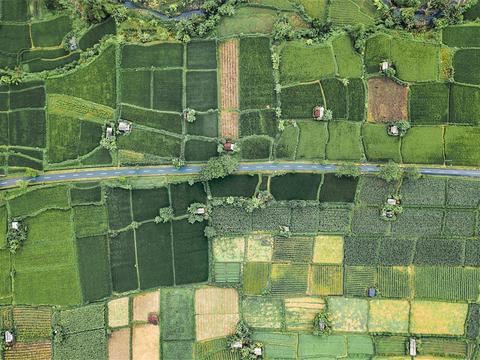 Aerial paddy texture material