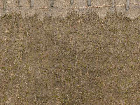 Thatched roof