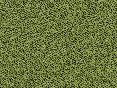 Seamless Modern Hotel Office Green Coarse Texture Full Carpet Mat