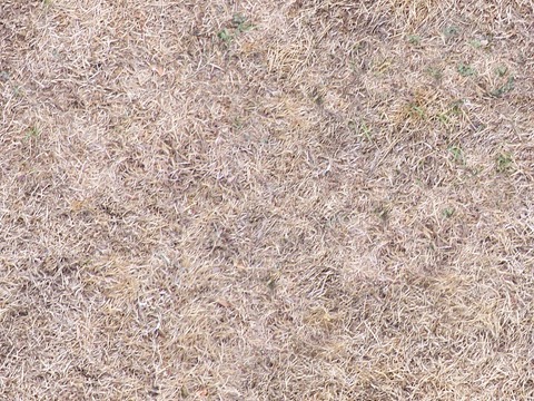 Seamless Garden Courtyard Yellow Grass Lawn Turf Ground