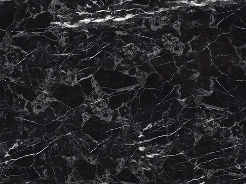 black reticulated marble