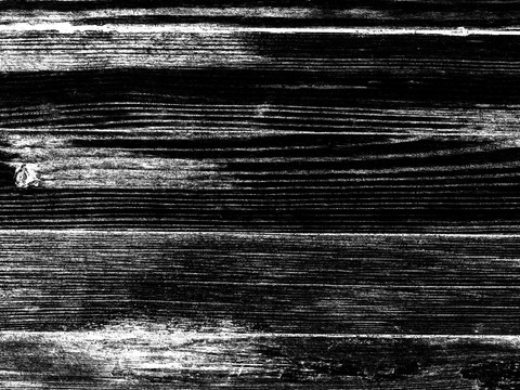 Black and White Bump Wood Grain Black and White Bump