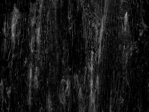 Black and White Bump Wood Grain Black and White Bump