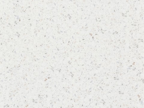 White terrazzo