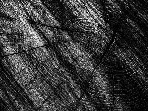 Black and White Bump Wood Grain Black and White Bump