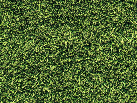 Turf