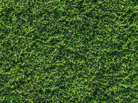 Turf