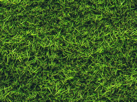 Turf