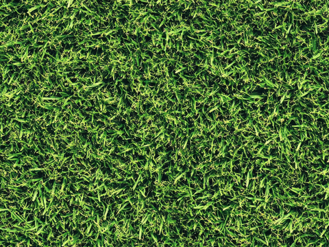 Turf