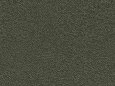 dark green leather