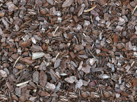 Seamless leaves, litter, soil, sandy ground