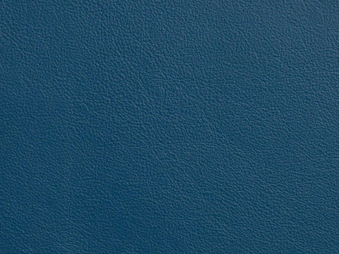 blue fine grain leather