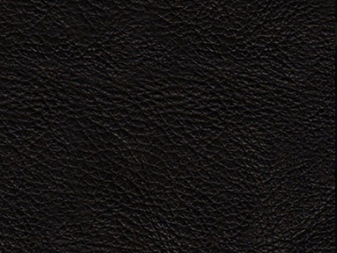 Modern fine grain leather