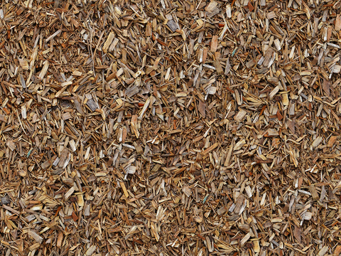 Seamless leaves, litter, soil, sandy ground