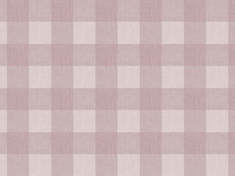 Pale Pink Plaid Cloth