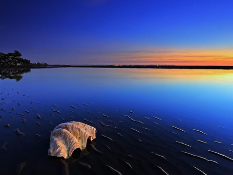 Seaside Scenery