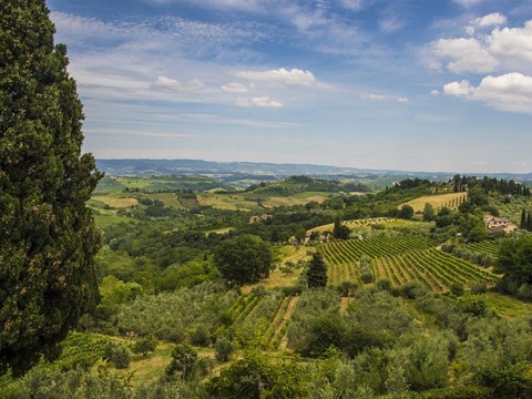 Daytime outdoor scenery