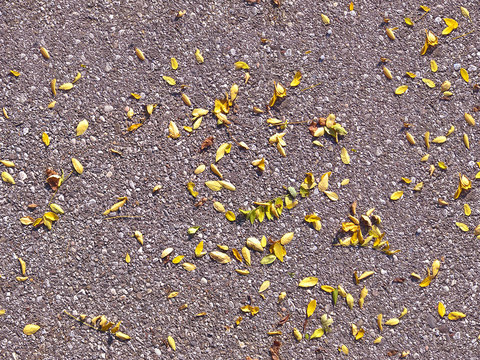 Seamless yellow dead branches and deciduous leaves turf grass lawn road ground