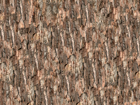 Seamless cracked dry bark trunk texture