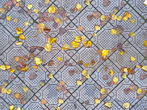 Seamless yellow dead branches and deciduous leaves turf grass lawn road ground