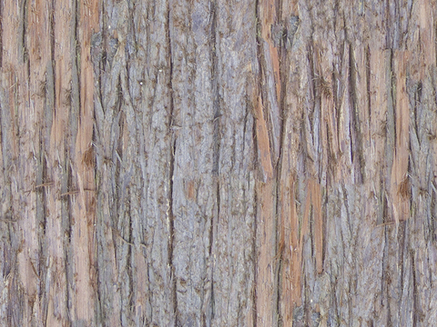 Seamless cracked dry bark trunk texture