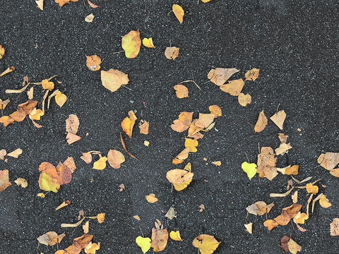 Seamless yellow dead branches and deciduous leaves turf grass lawn road ground