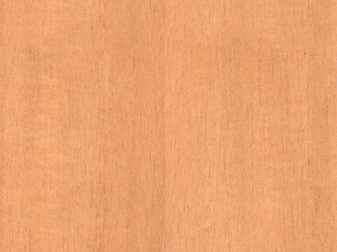 Seamless Light Color Log Plywood Wood veneer Poodles Particleboard Pine Board