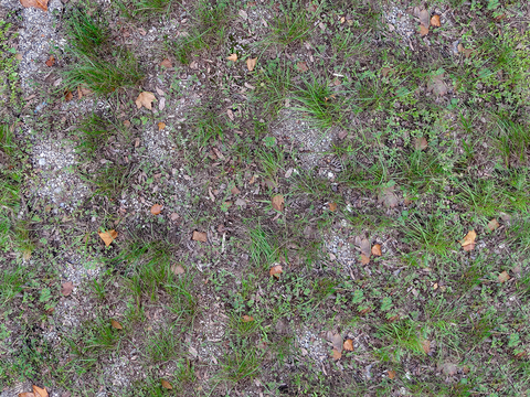 Seamless litter turf lawn ground