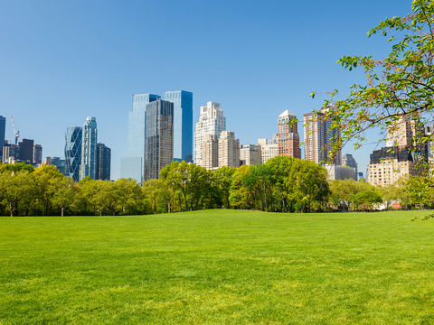 City Park Exterior, City Outdoor