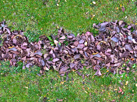 Seamless litter turf lawn ground