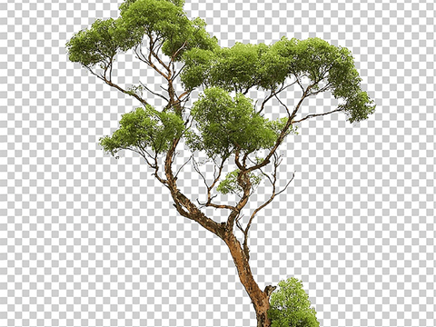 No digging landscape tree