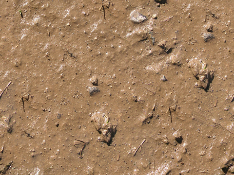 Seamless yellow wet dirt road ground