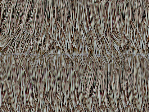 Seamless Yellow Dry Straw Thatch Roof Wall