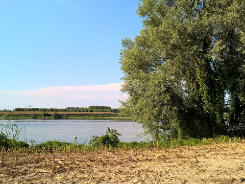 River Water Surface Landscape