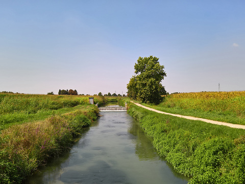 River Water Surface Landscape