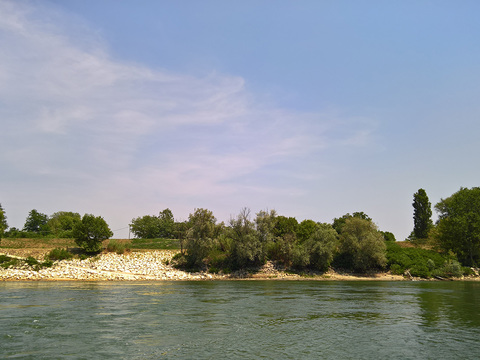 River Water Surface Landscape