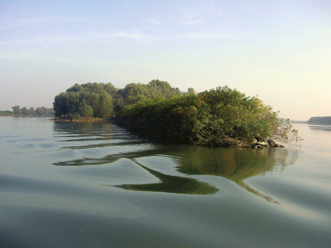 River Water Surface Landscape