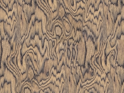 Seamless Log Color Dendroma Wood Grain Seamless Dendroma Technology Wood Bark Seamless Dendroma Stained Wood Bark