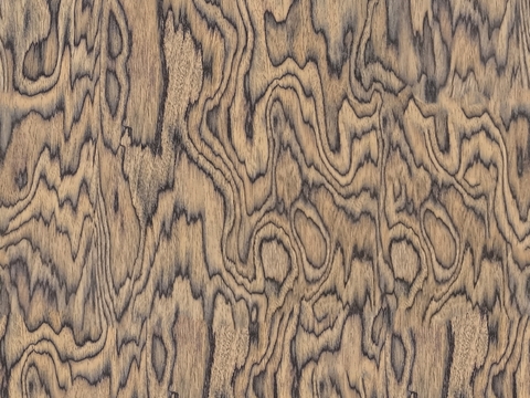 Seamless Log Color Dendroma Wood Grain Seamless Dendroma Technology Wood Bark Seamless Dendroma Stained Wood Bark