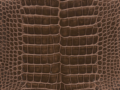 Seamless brown crocodile leather